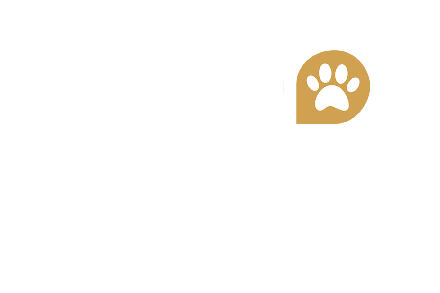 aqia clean extreme
